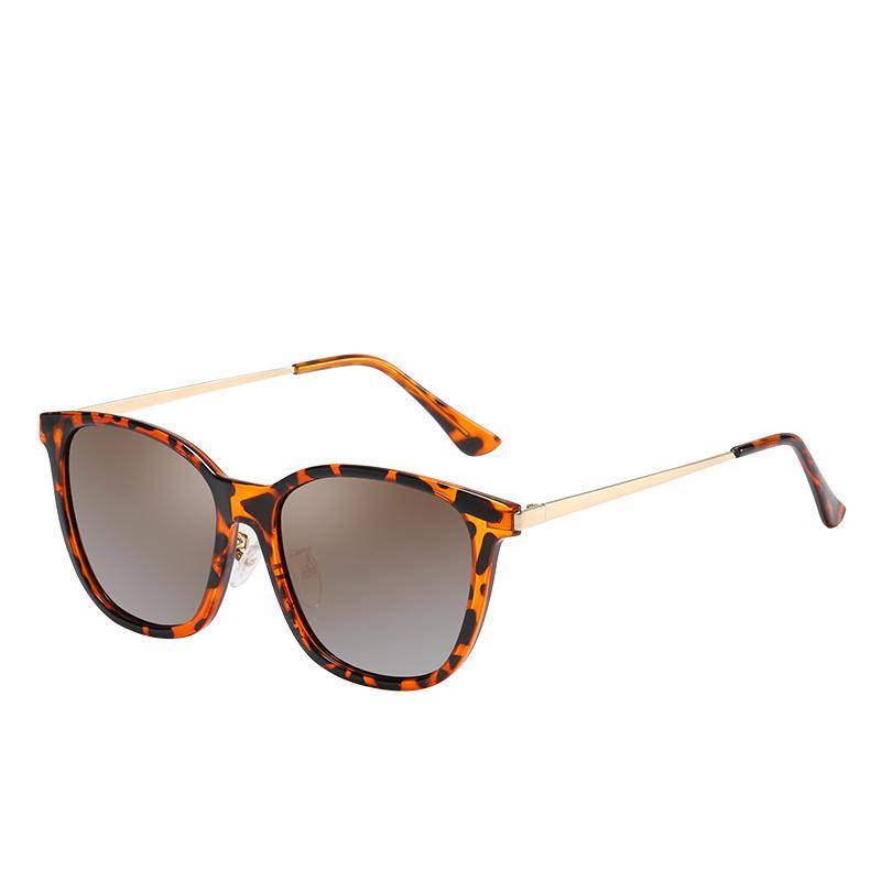 TORTOISE/BROWN